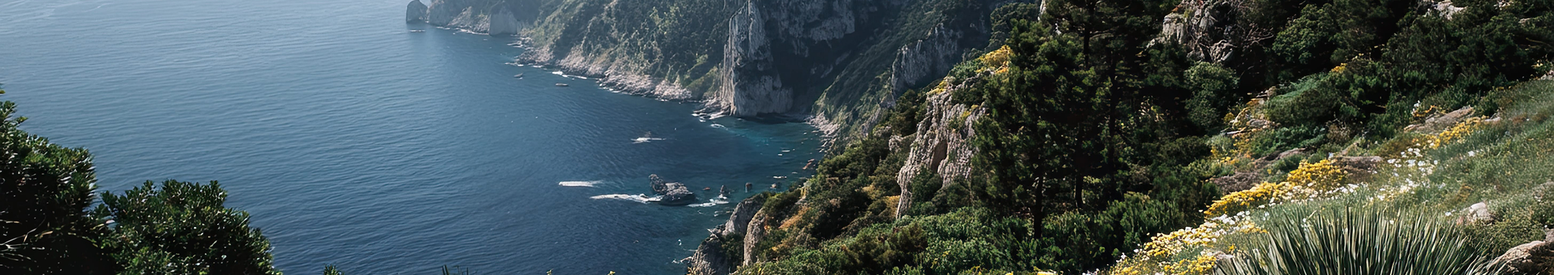 Capri